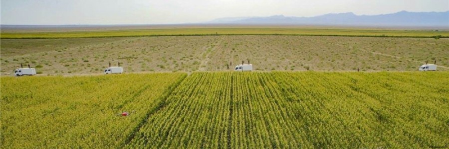 植保無人機(jī)如何突圍傳統(tǒng)農(nóng)業(yè)